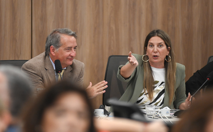 Silvia Lospennato y Mayoraz.
Foto Federico Lopez Claro.