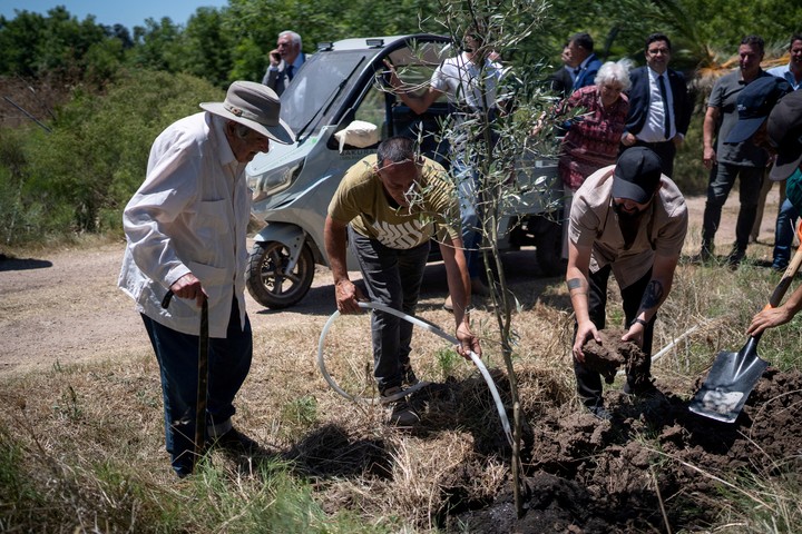 Gabriel Boric plantó un árbol junto a José Mujica, este lunes en Montevideo. Foto: REUTERS   