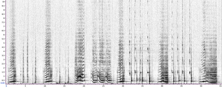 Espectrograma de una grabación de 2017 del canto de una ballena, facilitado por la Operación Cetáceos. Un equipo de científicos descubrió que los intrincados cantos de las ballenas jorobadas, que pueden propagarse de una población a otra, siguen un patrón de lenguaje similar al de los humanos. (Operación Cetáceos vía The New York Times)