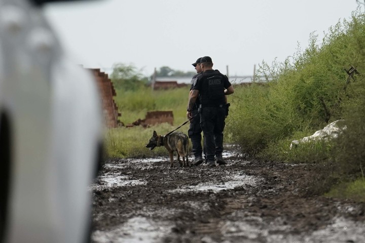 Rastrillajes con un perro especializado en buscar personas para dar con pistas de Lian. Foto Fernando de la Orden / Enviado especial