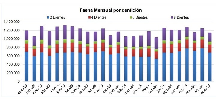 La faena de enero fue de unos 1,142 millones de cabezas procesadas. Esto implica una caída mensual, con respecto a diciembre del año 2024, del -8,1%,