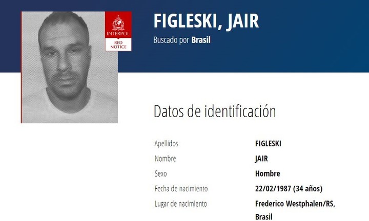 El perfil del criminal de INTERPOL. 