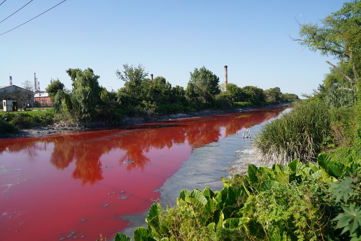 Las primeras muestras del agua revelaron la presencia de pigmentos sintéticos usados en industrias textiles y curtiembres. Foto: Emmanuel Fernández