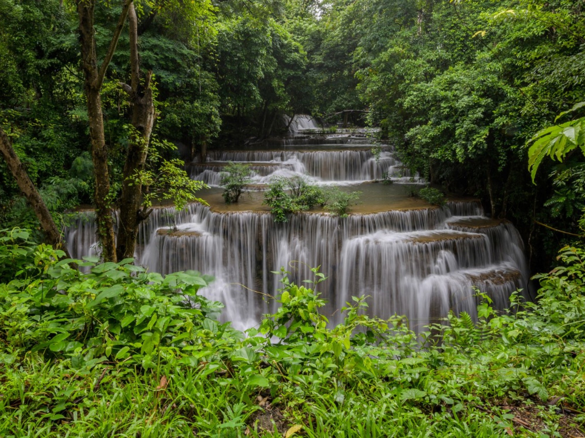 Hallan en la Amazonia una ciudad perdida del siglo XVIII. Foto: Freepik