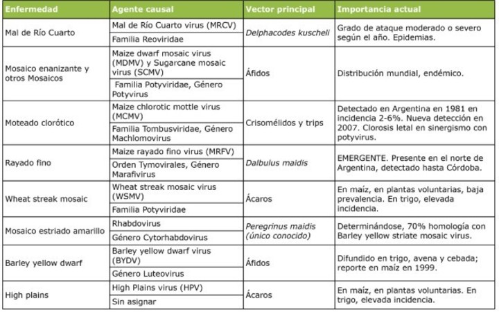 Enfermedades producidas por virus en el maíz.
