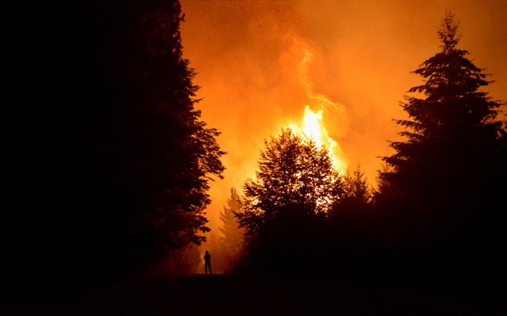 Los incendios en El Bolsón ya consumieron 2.000 hectáreas de bosques. Foto Reuters/Marcelo Martinez  