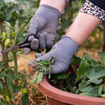 Truco fácil y sin gastar plata para mejorar la calidad del jardín: qué hay que hacer