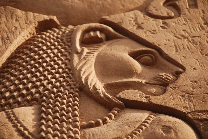 Sekhmet es una de las diosas egipcias más importantes. Sus representaciones en tumbas, bajorrelieves y estatuas están en múltiples monumentos y museos. Foto: ilustración Shutterstock