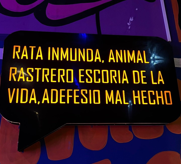 "Rata inmunda, animal rastrero, escoria de la vida, adefesio mal hecho" dice la famosa canción de Paquita la del Barrio. Foto: Poco Floro.