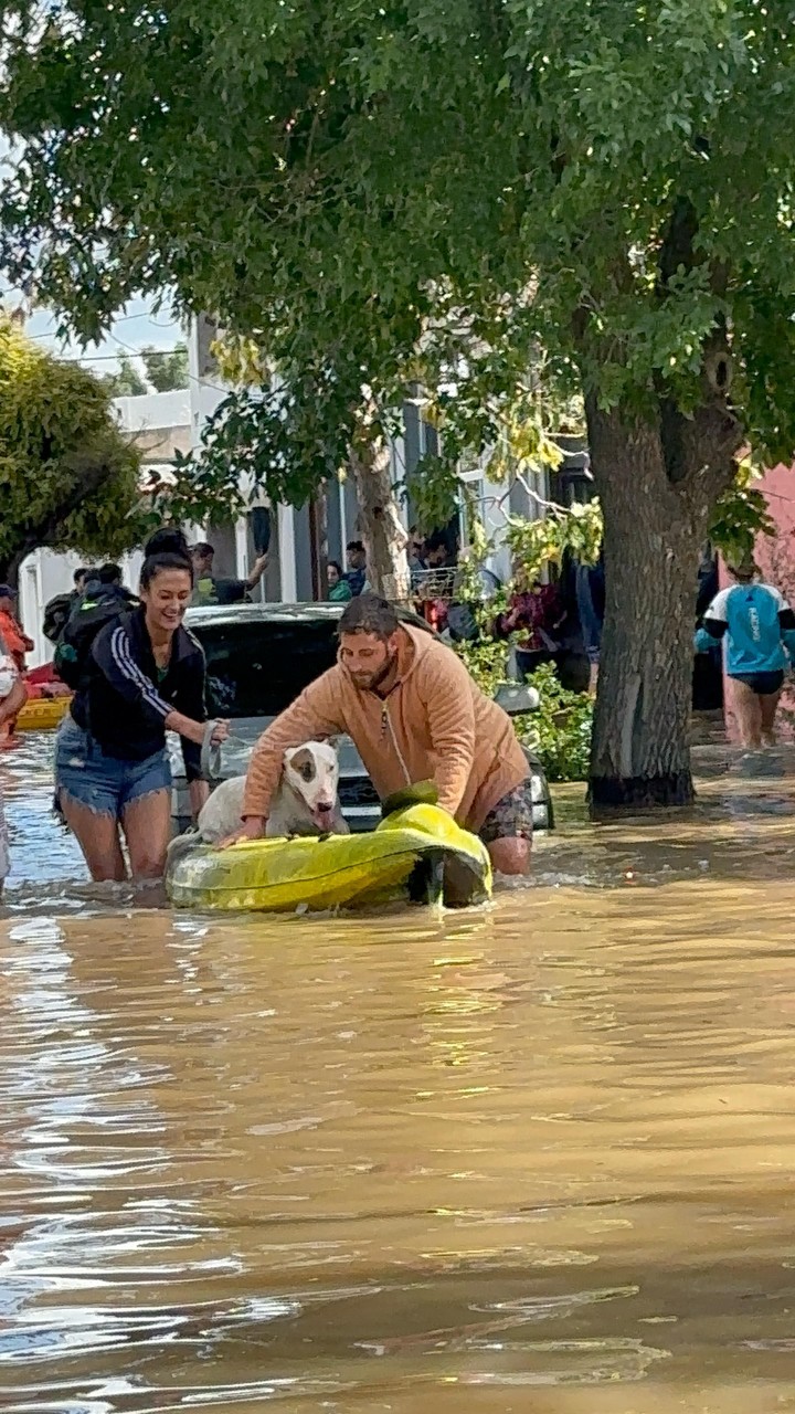 El presidente de la Fundación Planeta Vivo rescatando un perro.