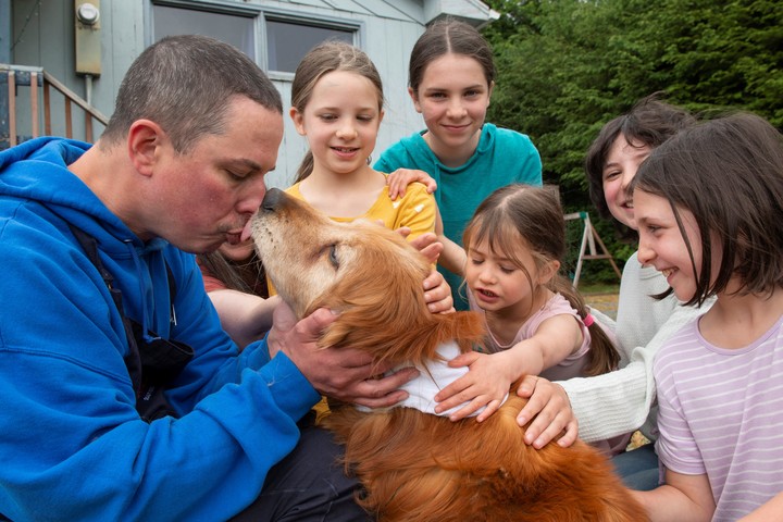 Los golden retriever son perfectos para personas con familias.