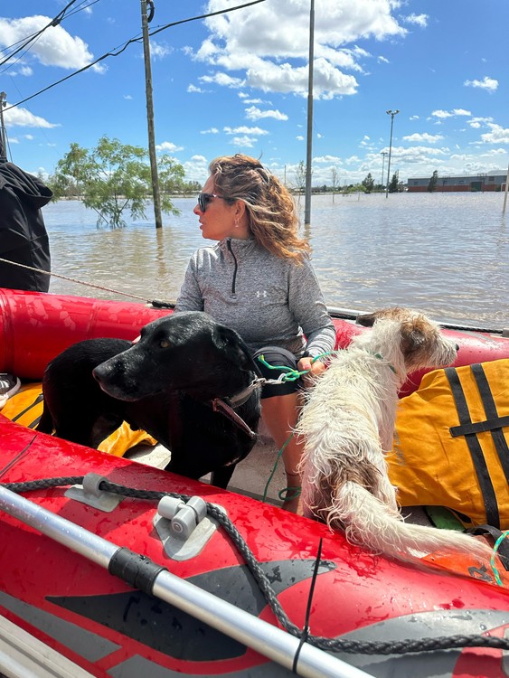 El equipo de trabajo de la fundación rescatando animales. Foto: Captura de pantalla /Instagram: fudanción.planetavivo.ar