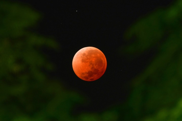 La "Luna de sangre" es un fenómeno que ocurre durante un eclipse lunar total. Foto: AFP PHOTO/MARIANA SUAREZ.