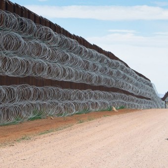 Fotografiaron la tristeza del Correcaminos que llegó a la frontera y se encontró con el muro