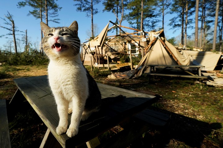 Ya son al menos 35 los muertos por tornados y temporales en Estados Unidos. Foto AP