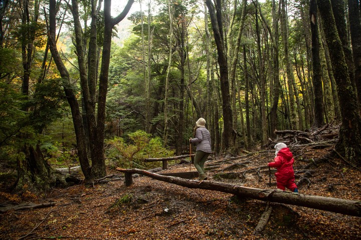 Villa O’Higgins es ideal para quienes buscan experiencias auténticas lejos del turismo masivo. (Sernatur Aysén)