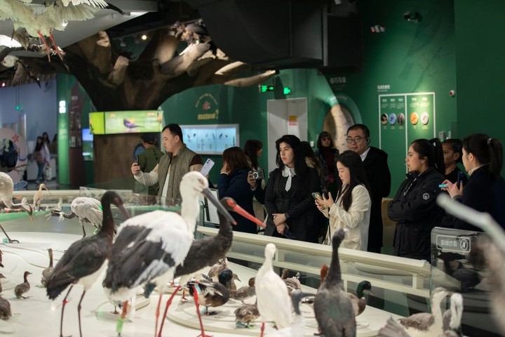 El museo de humedales del Mar Amarillo, ubicado en la ciudad de Yancheng.