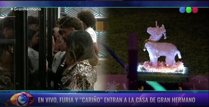 La entrada de "Cariños", la mascota de Furia, a Gran Hermano. Captura TV