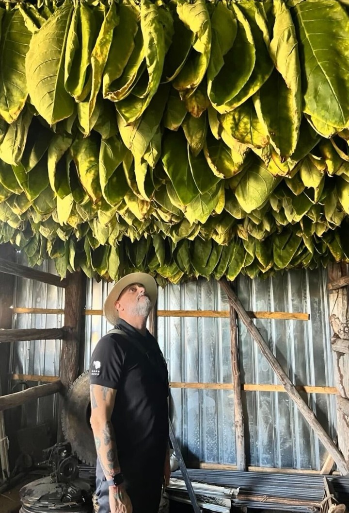 Jorge Rial en una plantación de tabaco. Foto: Instagram