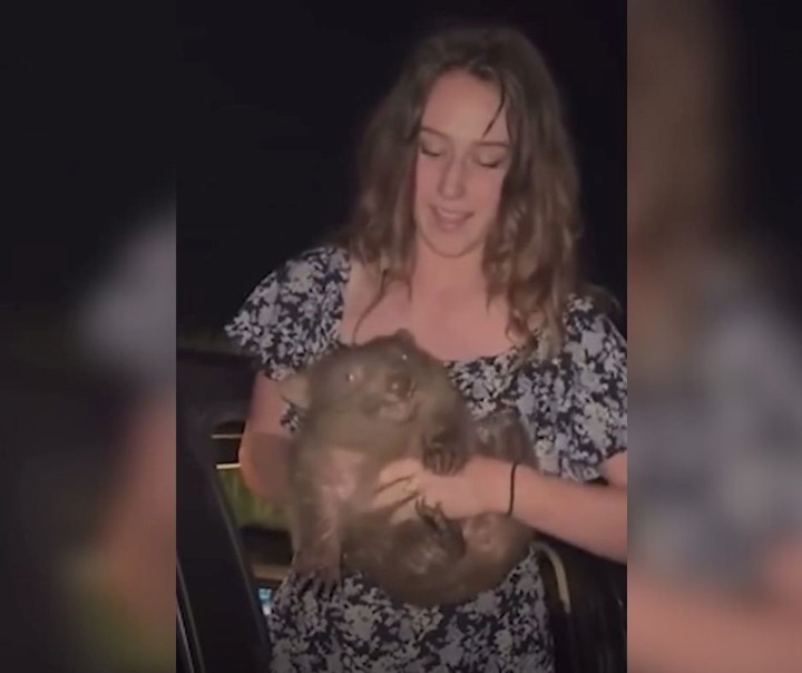 "Agarré a un wómbat", dijo la influencer, mientras sostenía al marsupial. Foto: captura de video/sacada de Instagram.