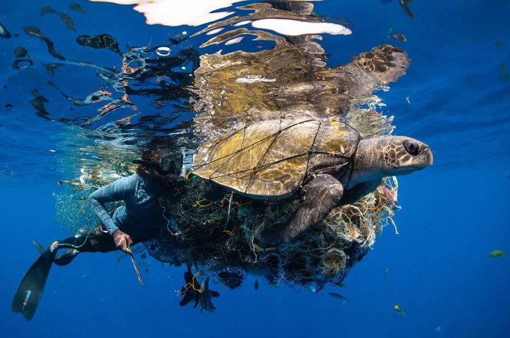 Riviera Maya. El Caribe mexicano.  fotografía de  Simon Lorenz, Sri Lanka. /Ocean Photographer of the Year 2022