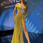 Quiénes fueron las últimas 5 mujeres que representaron a Argentina en Miss Universo