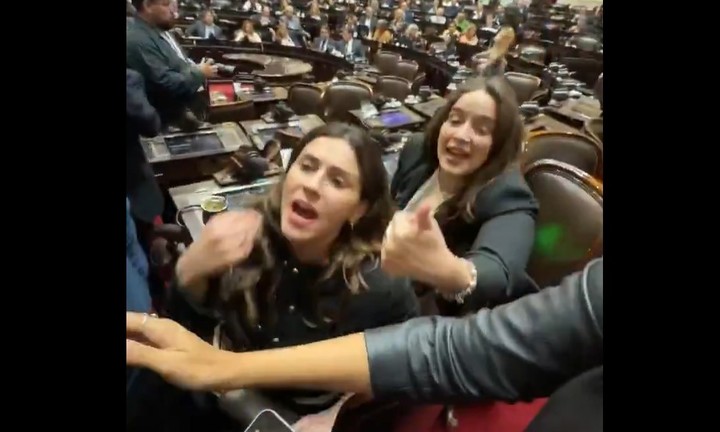 "¿Qué te pasa, estúpida?", respondió Marcela Pagano a la crítica de Lilia Lemoine. Ambas son diputadas de LLA.