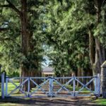 descubrí el pueblo con menos de 300 habitantes y su encantador vivero