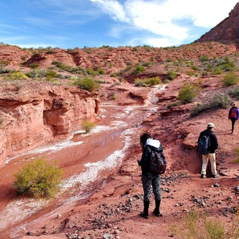 Dónde está el "Cañón del Colorado" de Argentina: un tesoro natural que tenés que visitar