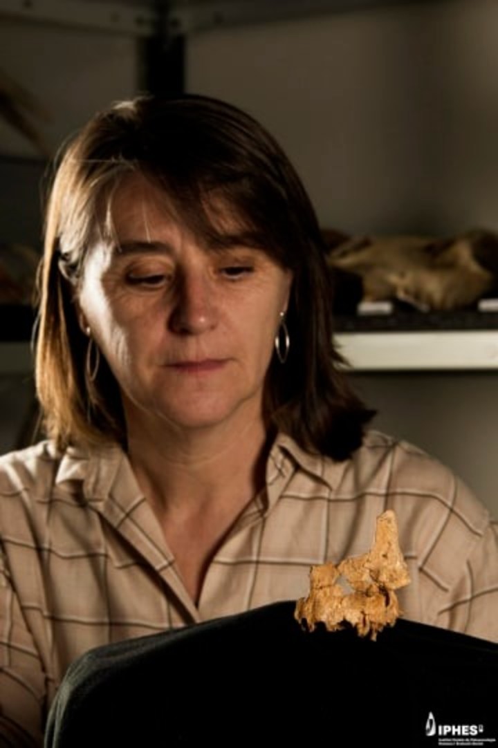 La Dr. Rosa Huguet, autora principal del estudio, junto al fósil "Pink". Foto: IPHES-CERCA
