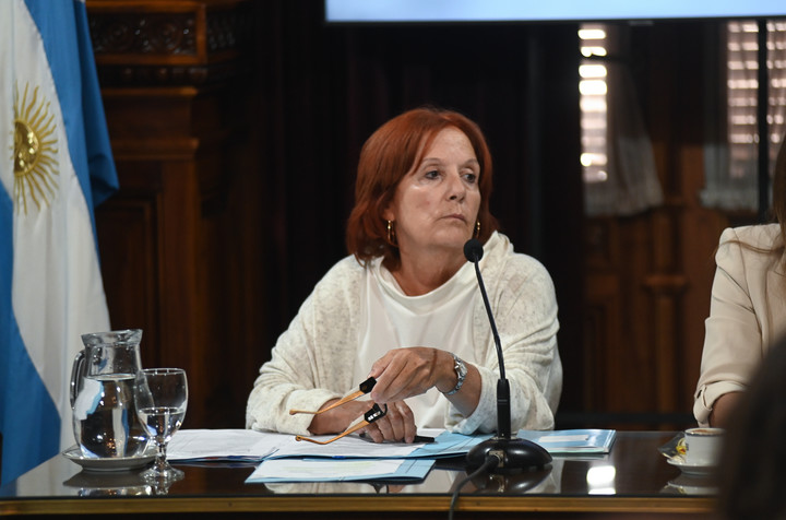 Senadora Alejandra Vigo. Foto: Foto Federico López Claro.