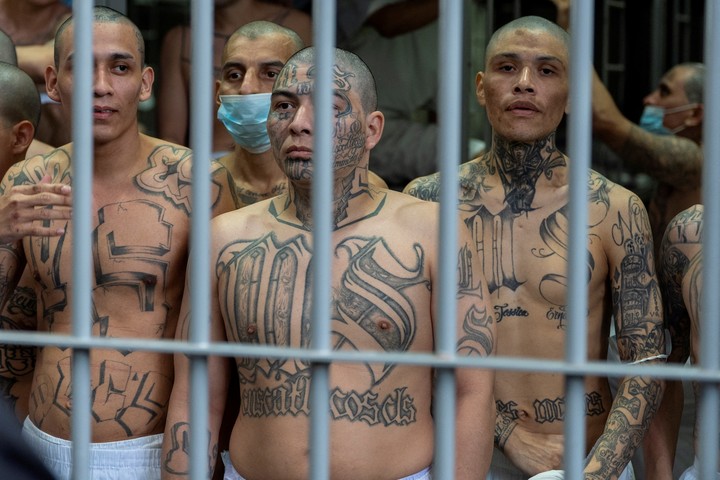 Miembros del MS-13, deportados y detenidos en El Salvador. Foto: Reuters.
