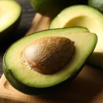 Cómo reproducir una planta de palta por esquejes y cosechar frutos más rápido que con la semilla