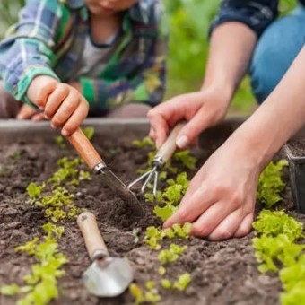 Huerta de otoño: 3 verduras fáciles de  sembrar en abril y cosechar en invierno