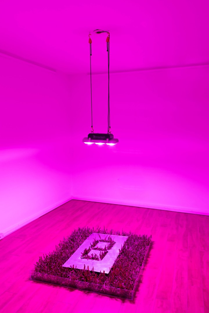 S/T #2 (Mambo). La muestra de Augusto Zanela en Miranda Bosch será escenario para una escucha de un set de Mene Savasta Ambient, el jueves 8 de mayo, a las 18.