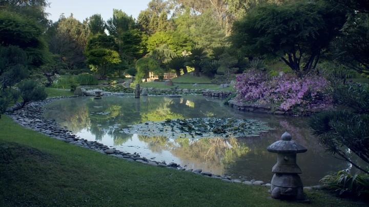 Inomata diseñó muchos jardines a lo largo de los años, como el de una estancia de la tradicional familia Zavalía en 25 de Mayo o uno para el actor Tommy Lee Jones para su finca en Lobos. Cortesía de Fernando Krapp.