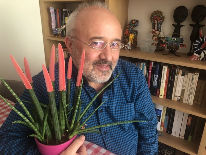 Daniel Cassany. Foto: archivo Clarín.