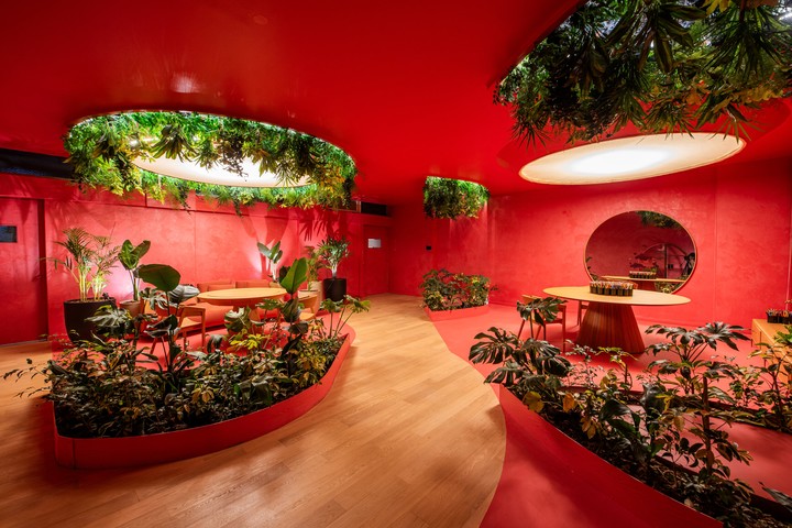 El Playroom apuesta al color rojo y la biofilia.