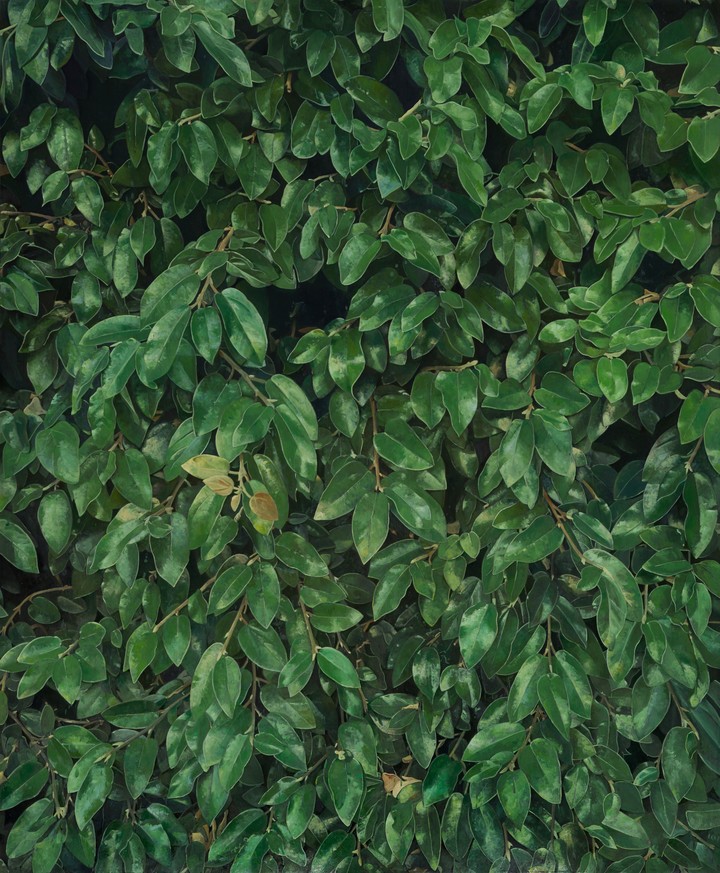 Pinturas de follaje, de Martín La Rosa.