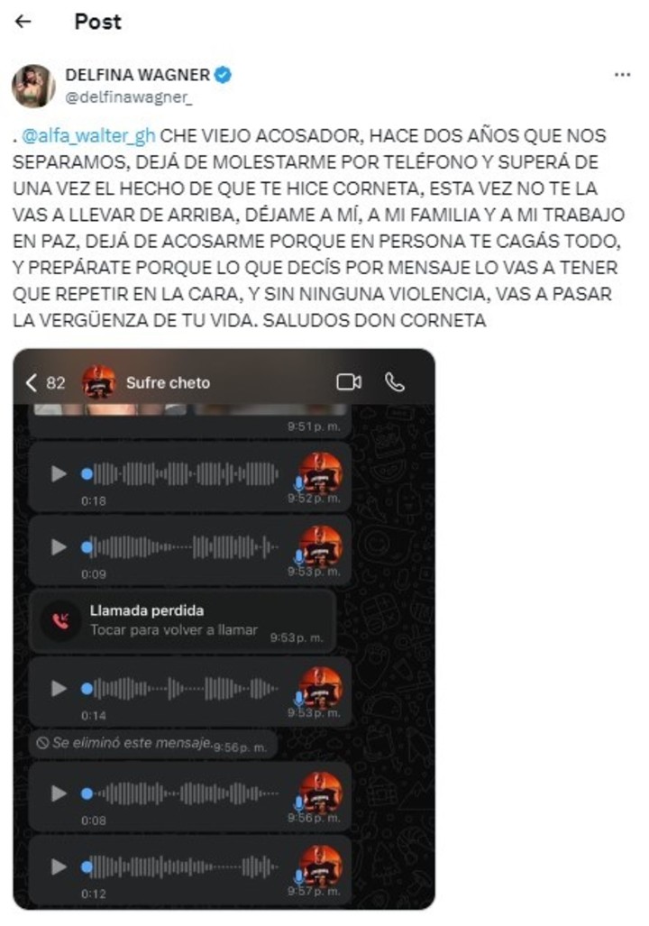 Delfina Wagner expuso los mensajes que le envió Walter "Alfa" Santiago a dos años de su separación.