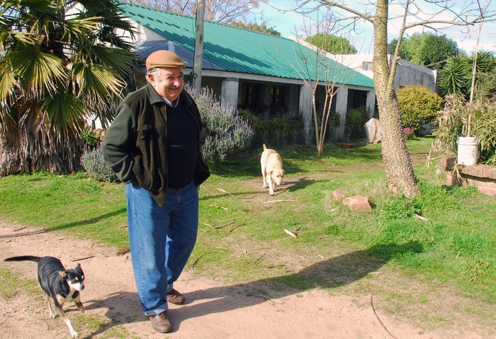 En 2011, José Mujica como presidente de Uruguay paseaba por la chacra con perra Manuela