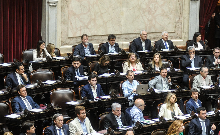 Los diputados de Manes y de Pichetto juegan fuerte en la comisión investigadora del escándalo cripto. Foto: Federico López Claro.