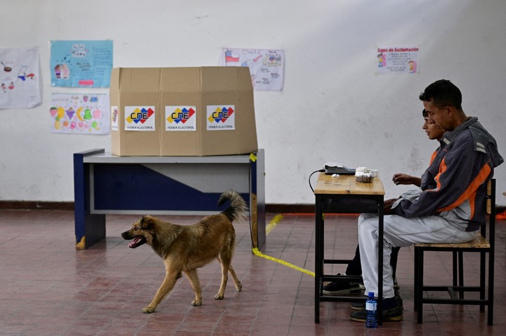 Un perro en una escuela vacía de Caracas. Foto Reuters