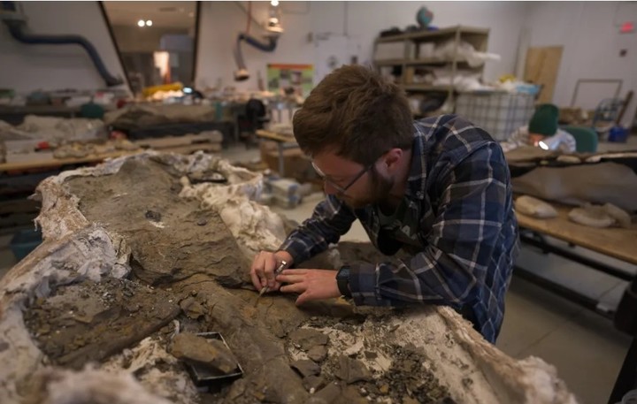 Jackson Sweder trabaja en busca de pistas sobre este antiguo mundo (Kevin Church/BBC News).