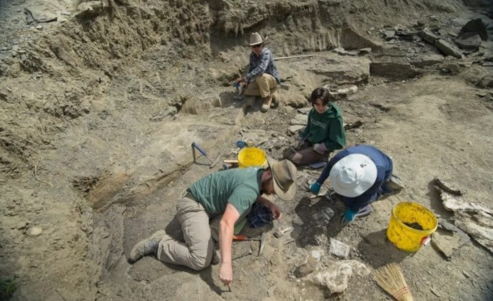 Pipestone Creek aún guarda muchos secretos (Kevin Church/BBC News).
