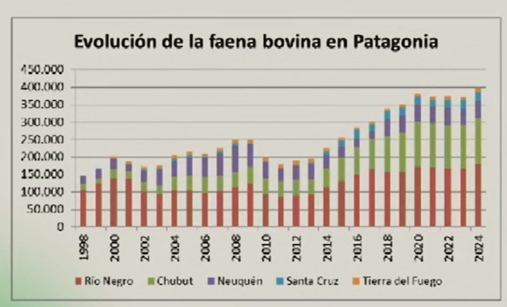 En 10 años desde 2013, se duplicó la faena en Patagonia