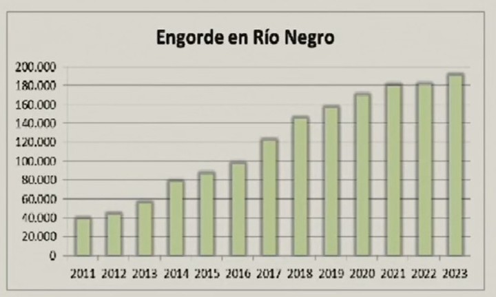 En el 2011 se producían 40.000 gordos/año y hoy estamos en más de 180.000 y todo esto demanda suplementación con concentrados es decir producción de maíz.