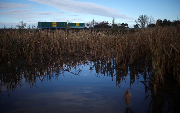 San Antonio de Areco. REUTERS/Agustin Marcarian