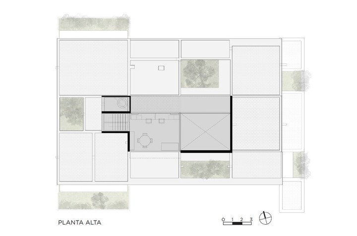 Planta alta