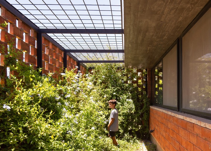 El patio norte, vinculado a los dormitorios de los hijos, protegido de la calle con un muro cribado y vegetación. Foto: Ramiro Sosa